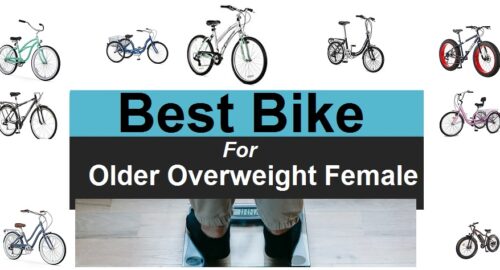 Best Bike For Older Overweight Female