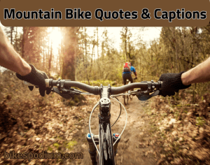 bike quotes and bike captions