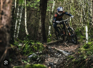 Dyfi Bike Park