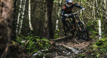 Dyfi Bike Park