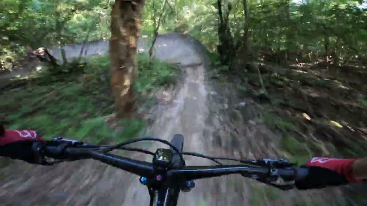 Markham Park Mountain Bike Trails: A Thrilling Adventure in South Florida