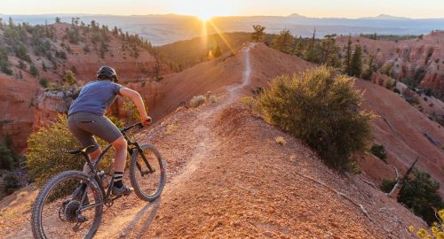 What is a Singletrack Mountain Bike?