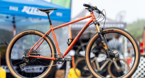 Why You Need a 29er Mountain Bike in 2024?